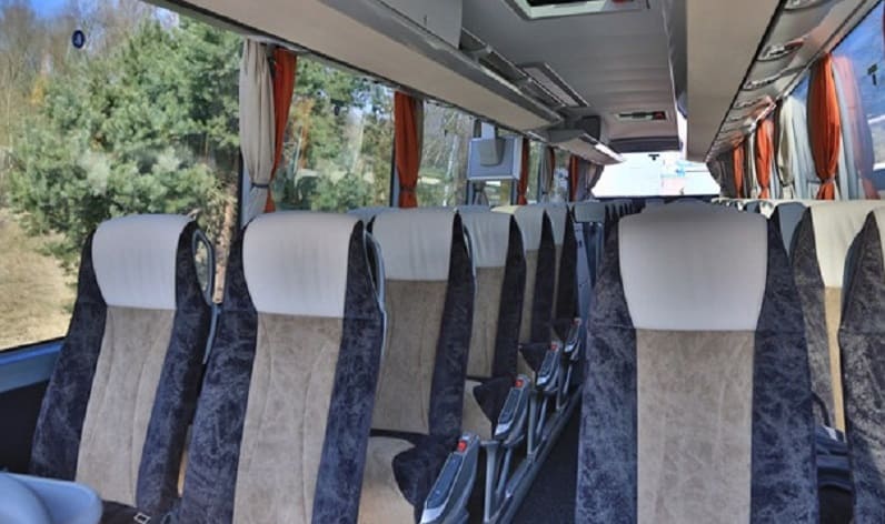 Portugal: Coach charter in Norte in Norte and Alfena