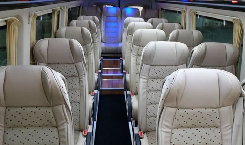 Portugal: Coach company in Norte in Norte and Freamunde