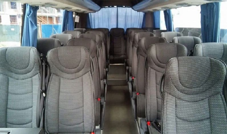 Portugal: Coach hire in Norte in Norte and Santa Maria da Feira