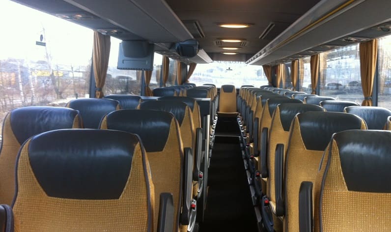 Portugal: Coaches company in Norte in Norte and Lamego